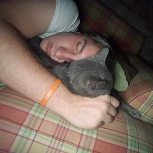 Meet your Posher, Philip